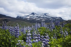 Iceland Mountains