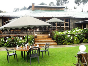 Mountain Gorilla View Lodge - Gay Expeditions