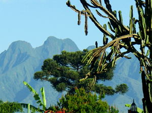 Virunga Mountains - Gay Tours