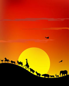 African animals walking in front of a sunset - Africa Gay Men Safari