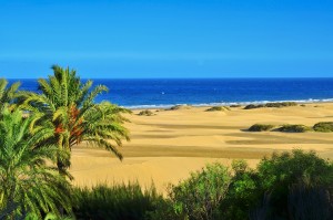 Maspalomas Dunes