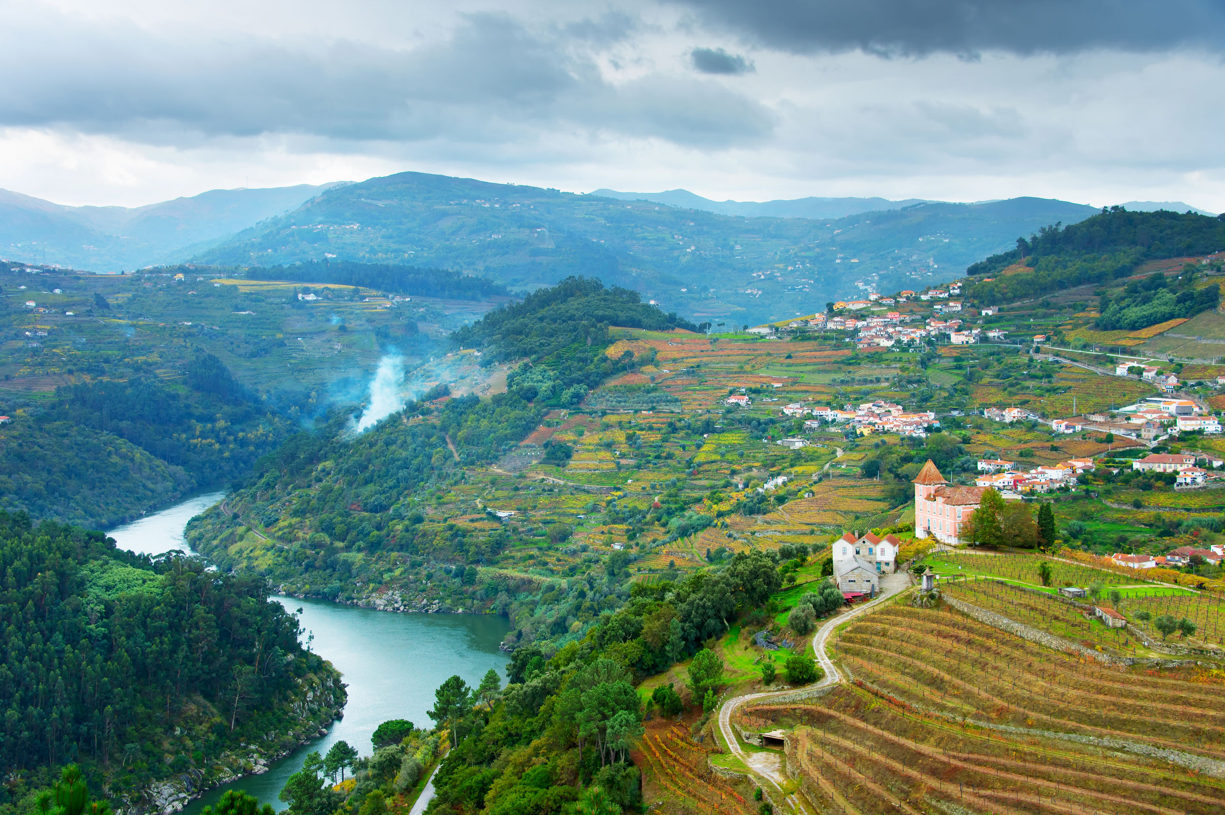 Duoro Vineyards