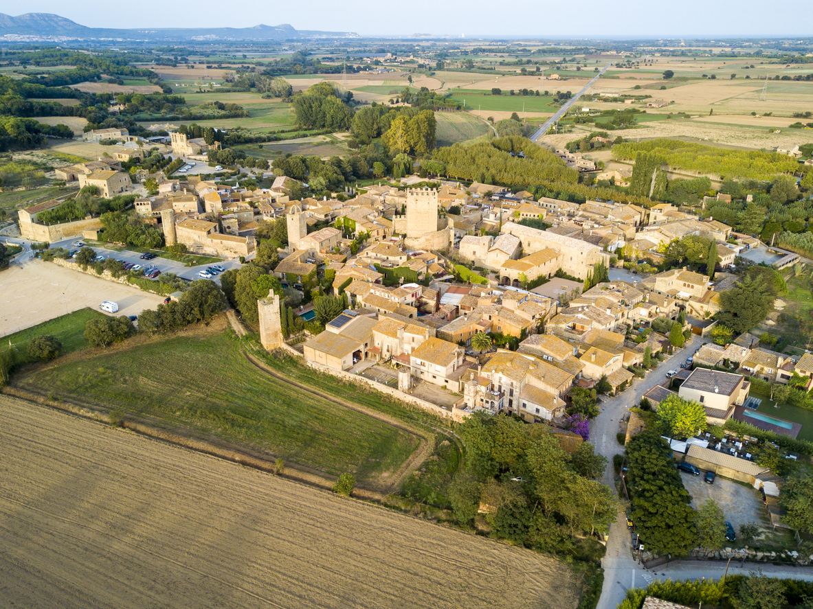 Medieval village