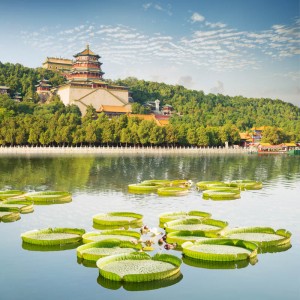 Landscape of Summer palace